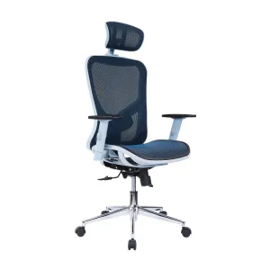 High Back Executive Mesh Office Chair with Arms, Headrest and Lumbar Support